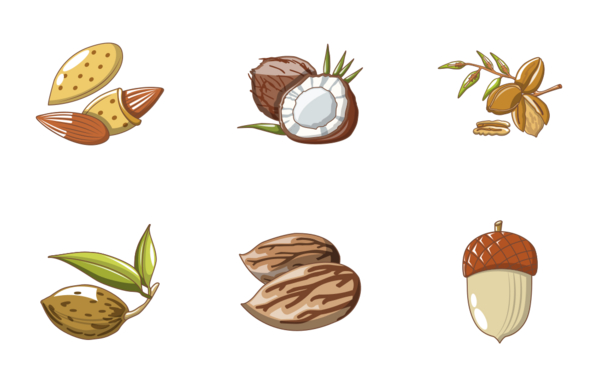 nut types food