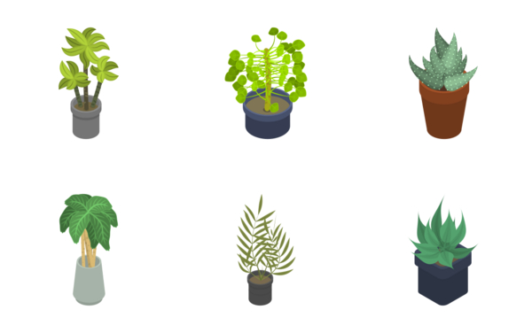 houseplants