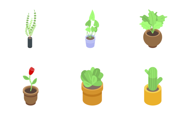 houseplants