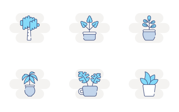 house plant house plant