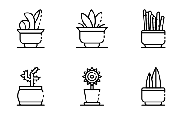 houseplants