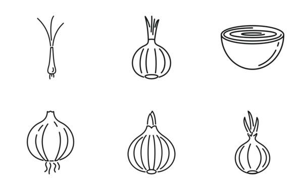 food onion