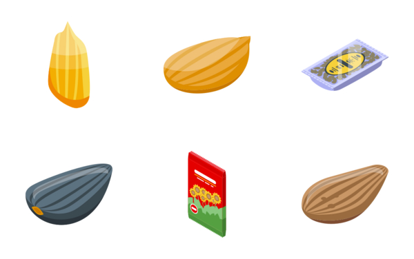 sunflower seed sunflower seed