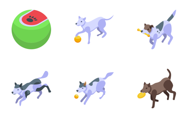 playful dog playful dog