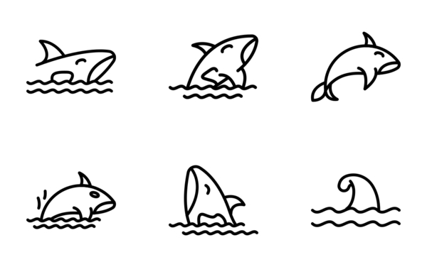 killer whale killer whale