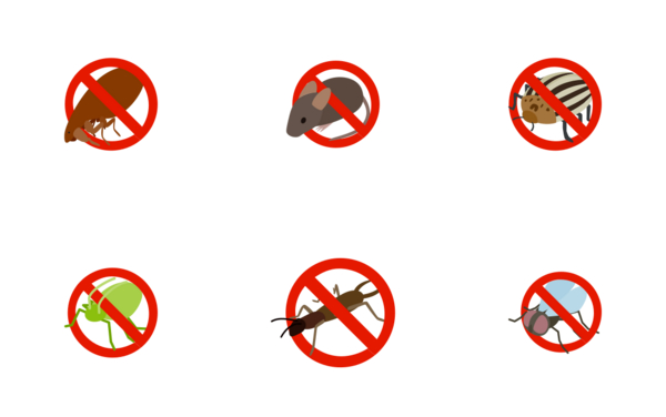 no insect sign  isometric