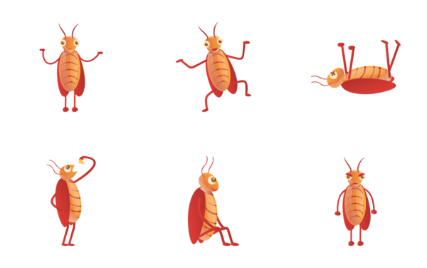 cockroach cockroach