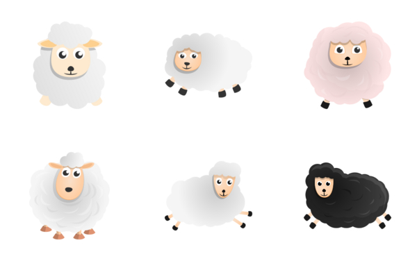 sheep