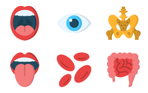 human body human body