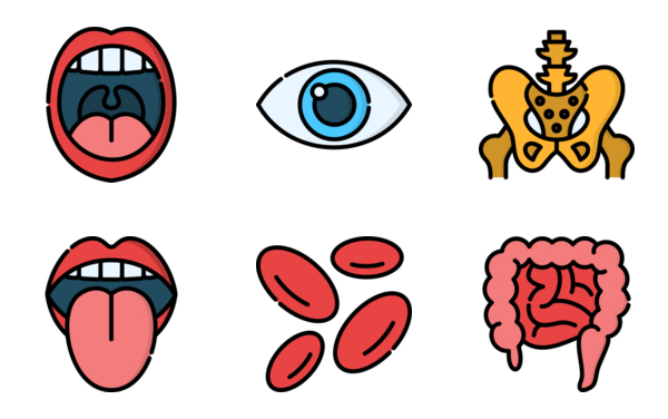 human body human body