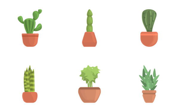 plants