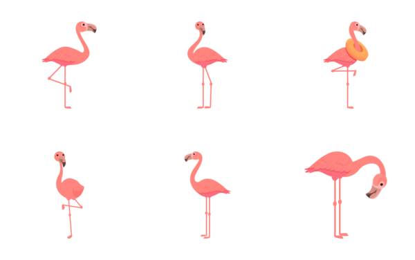flamingo