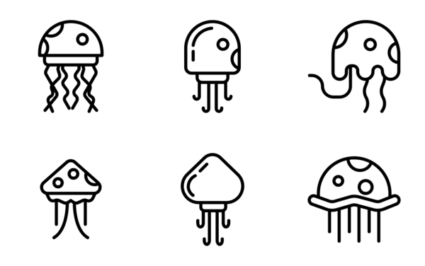 Jelly fish Jelly fish
