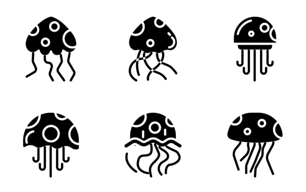 Jelly fish Jelly fish