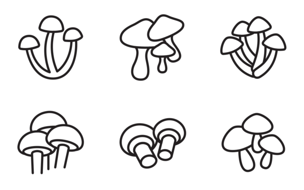 Mushroom Mushroom