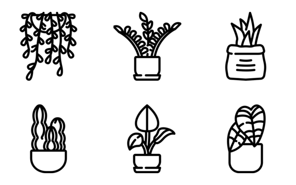 indoor plants