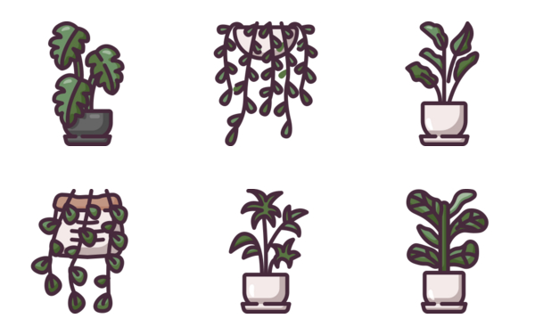 indoor plants indoor plants