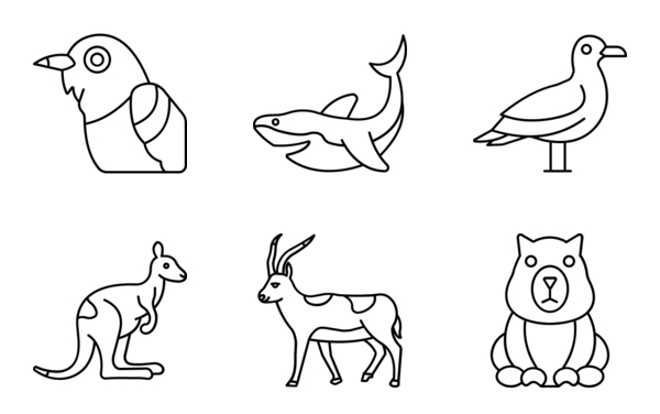 animal and birds animal and birds