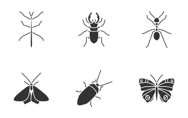 insects glyph silhouettes