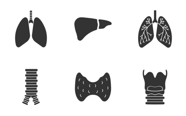 internal organs glyph silhouettes