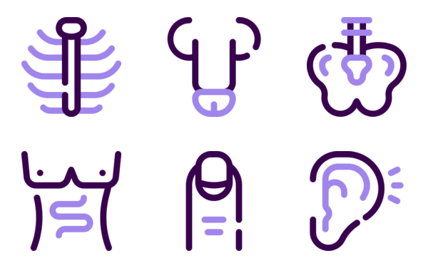 Lylac human anatomy Lylac human anatomy