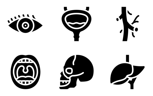 anatomy glyph