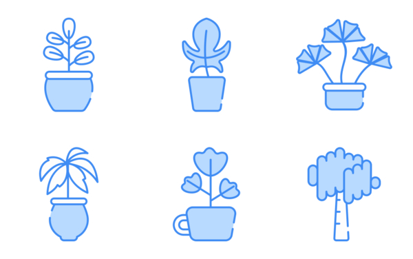 30 house plant