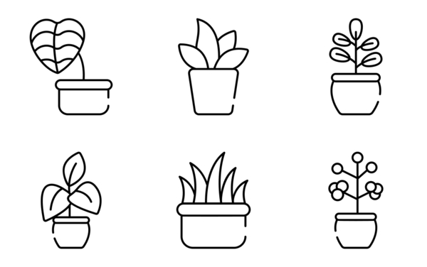 30 house plant 30 house plant