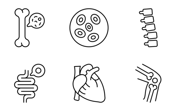 30 human organs 30 human organs