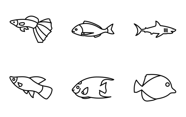 collection of fish