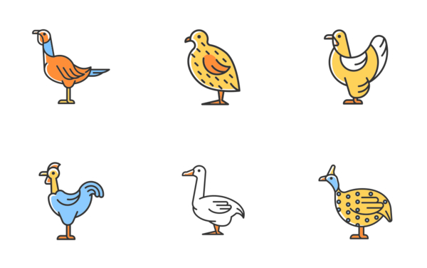 farm birds for poultry color filled