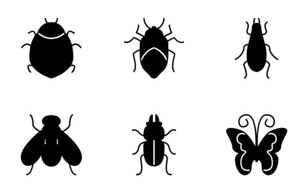 Buggy Buggy
