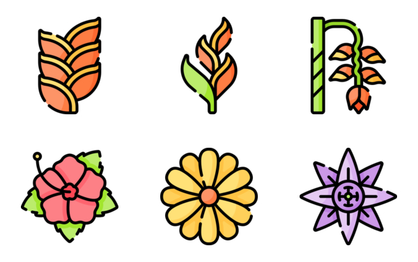 latin american flowers