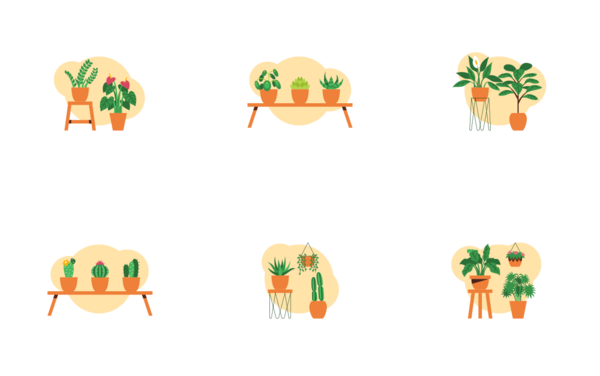 house plants