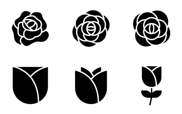 rose rose
