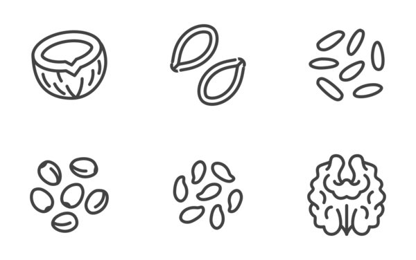 nuts seeds nuts seeds
