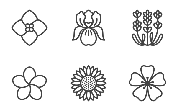 Flowers part 2 Flowers part 2