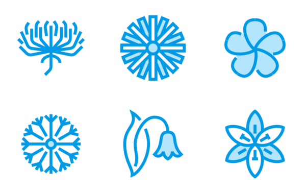 flowers blue flowers blue