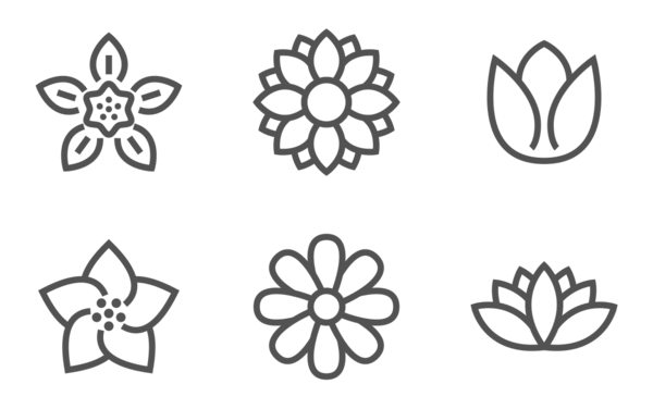Flowers Flowers