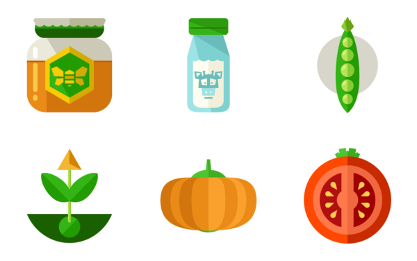 Organic food vegetables