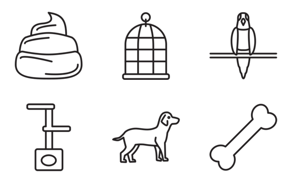 Pets and animals Pets and animals