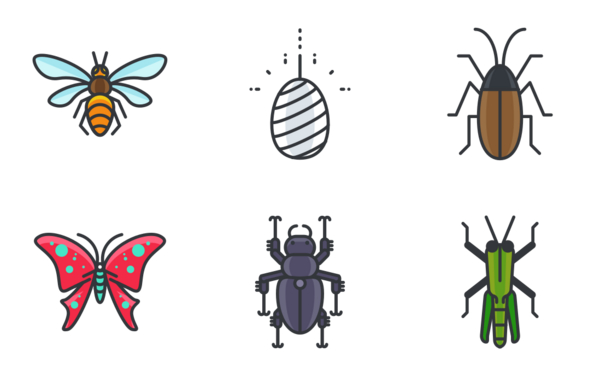 bugs and nature bugs and nature