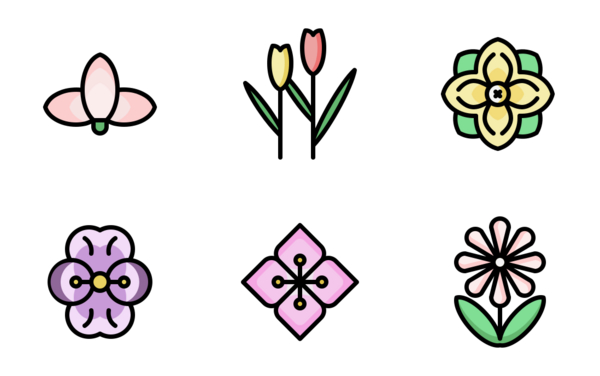 flower flower