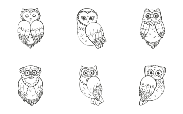 owls