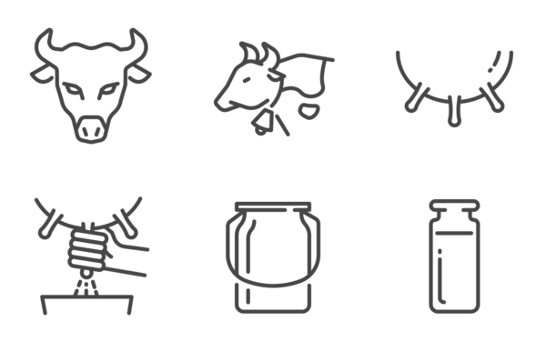 dairy products dairy products