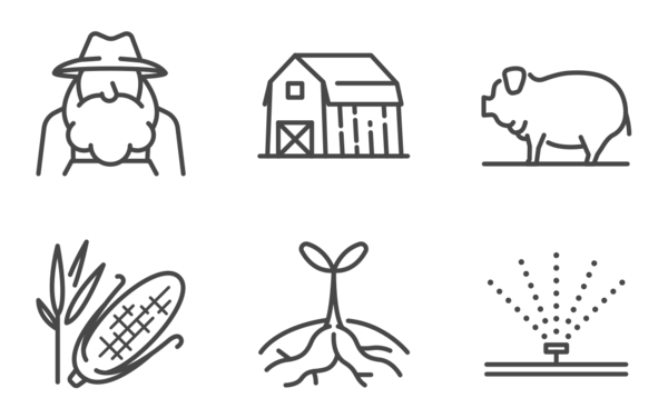 Farm Farm