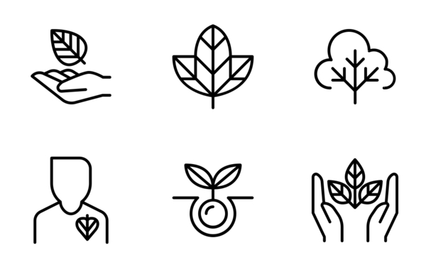 eco friendly  conservation