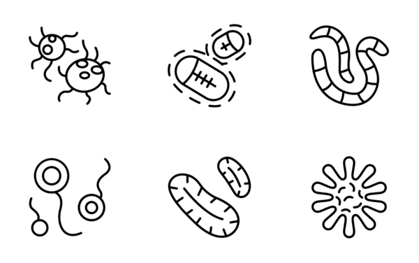 virus bacteria  covid19