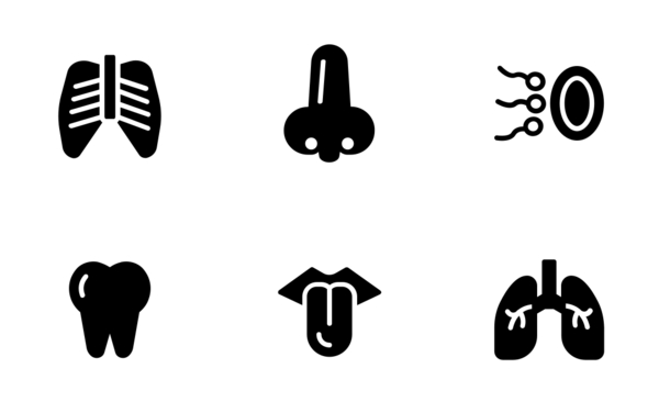 human anatomy glyph