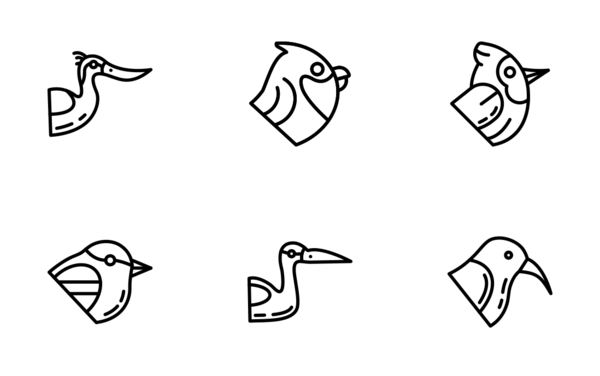 birds